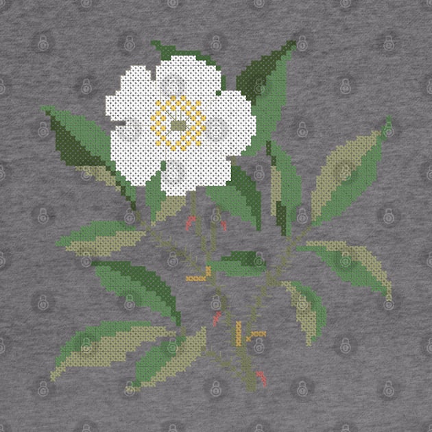 Georgia State Flower Cherokee Rose by inotyler